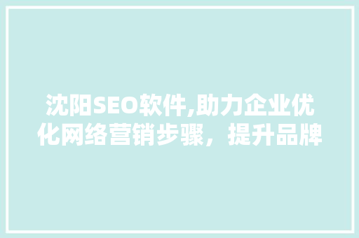 沈阳SEO软件,助力企业优化网络营销步骤，提升品牌影响力