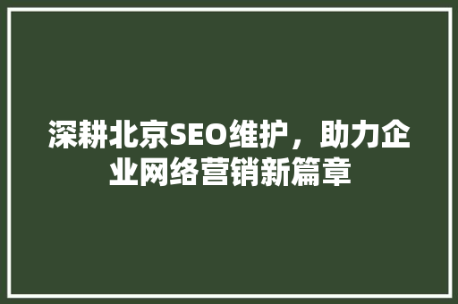 深耕北京SEO维护，助力企业网络营销新篇章