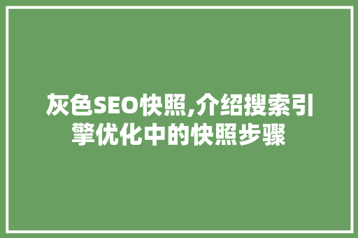 灰色SEO快照,介绍搜索引擎优化中的快照步骤