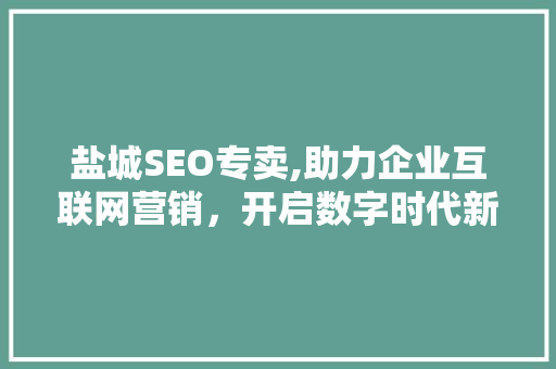 盐城SEO专卖,助力企业互联网营销，开启数字时代新篇章