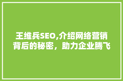 王维兵SEO,介绍网络营销背后的秘密，助力企业腾飞