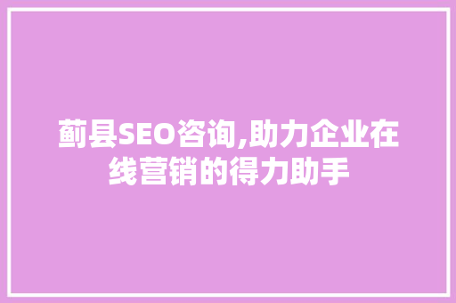 蓟县SEO咨询,助力企业在线营销的得力助手