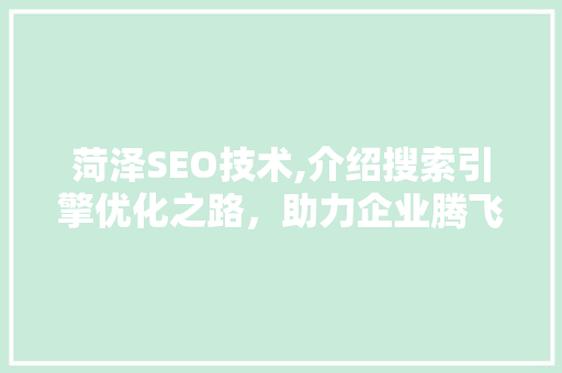 菏泽SEO技术,介绍搜索引擎优化之路，助力企业腾飞