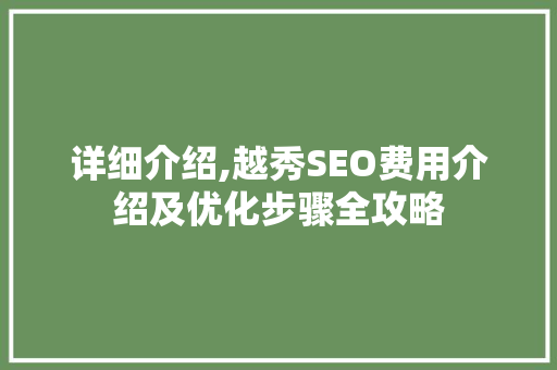 详细介绍,越秀SEO费用介绍及优化步骤全攻略