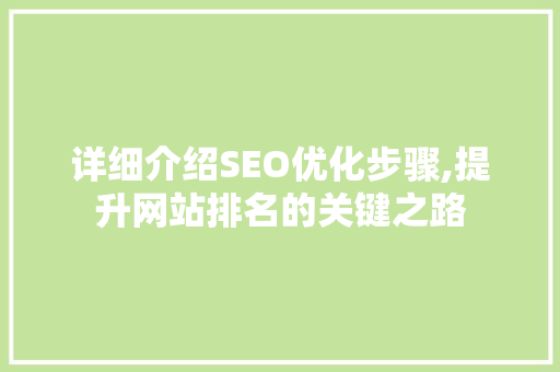 详细介绍SEO优化步骤,提升网站排名的关键之路