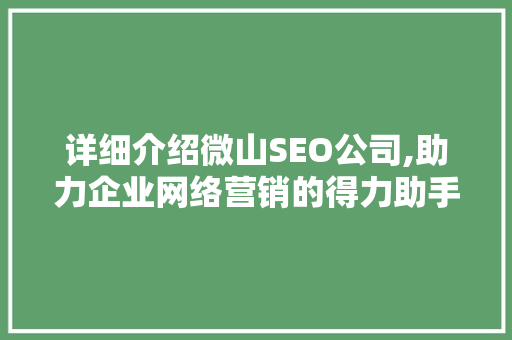详细介绍微山SEO公司,助力企业网络营销的得力助手