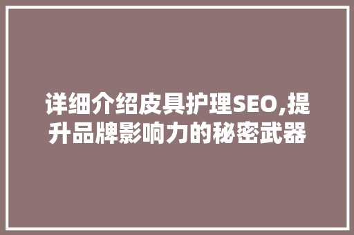 详细介绍皮具护理SEO,提升品牌影响力的秘密武器