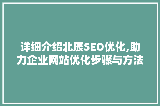 详细介绍北辰SEO优化,助力企业网站优化步骤与方法