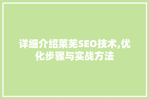 详细介绍莱芜SEO技术,优化步骤与实战方法