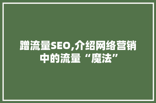 蹭流量SEO,介绍网络营销中的流量“魔法”