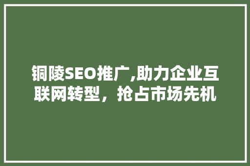 铜陵SEO推广,助力企业互联网转型，抢占市场先机