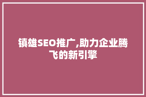 镇雄SEO推广,助力企业腾飞的新引擎