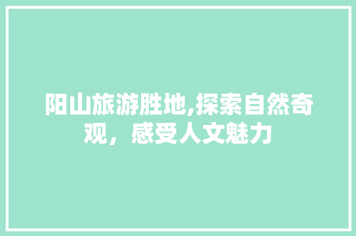 阳山旅游胜地,探索自然奇观，感受人文魅力