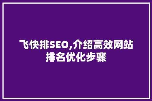 飞快排SEO,介绍高效网站排名优化步骤
