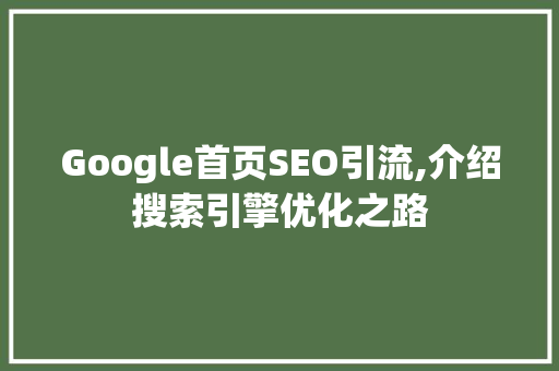Google首页SEO引流,介绍搜索引擎优化之路