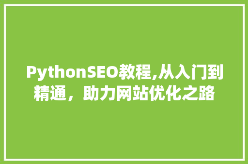 PythonSEO教程,从入门到精通，助力网站优化之路
