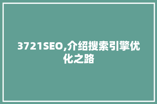 3721SEO,介绍搜索引擎优化之路