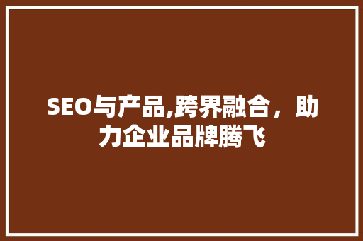 SEO与产品,跨界融合，助力企业品牌腾飞