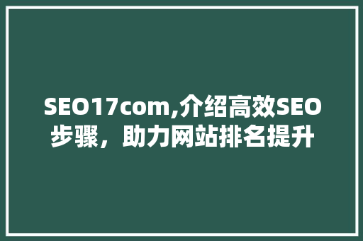 SEO17com,介绍高效SEO步骤，助力网站排名提升