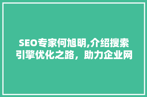 SEO专家何旭明,介绍搜索引擎优化之路，助力企业网络营销腾飞