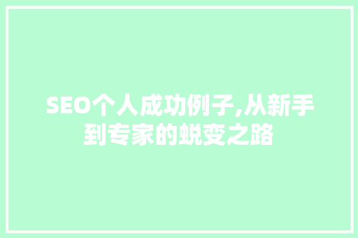 SEO个人成功例子,从新手到专家的蜕变之路