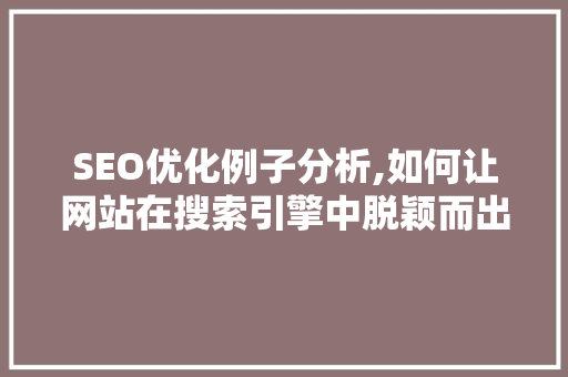 SEO优化例子分析,如何让网站在搜索引擎中脱颖而出