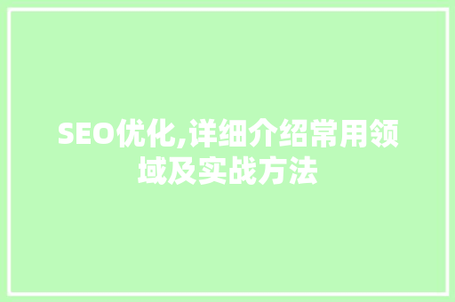 SEO优化,详细介绍常用领域及实战方法