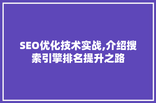 SEO优化技术实战,介绍搜索引擎排名提升之路