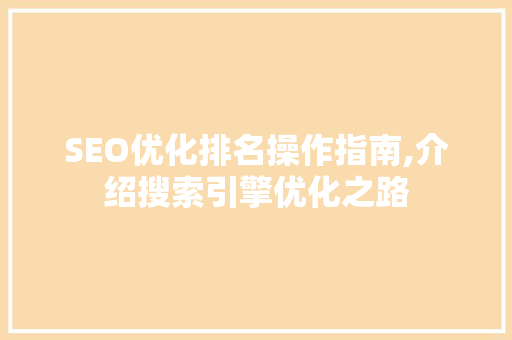 SEO优化排名操作指南,介绍搜索引擎优化之路