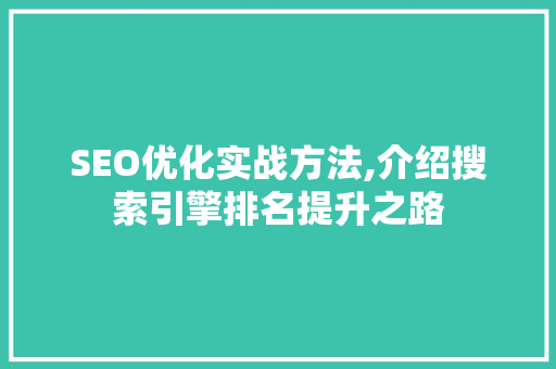 SEO优化实战方法,介绍搜索引擎排名提升之路