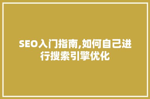 SEO入门指南,如何自己进行搜索引擎优化