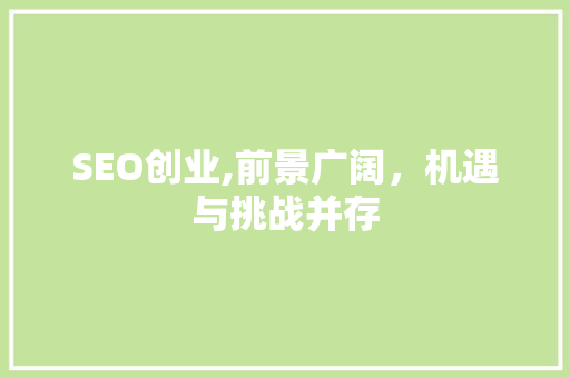 SEO创业,前景广阔，机遇与挑战并存