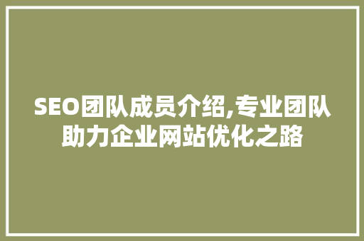 SEO团队成员介绍,专业团队助力企业网站优化之路