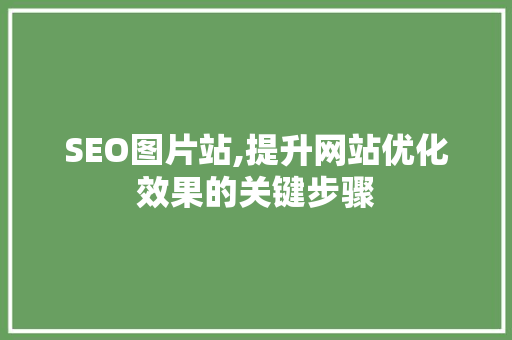 SEO图片站,提升网站优化效果的关键步骤