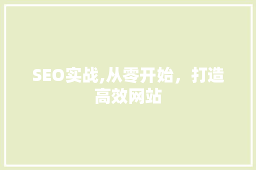 SEO实战,从零开始，打造高效网站