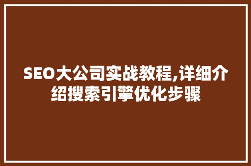 SEO大公司实战教程,详细介绍搜索引擎优化步骤