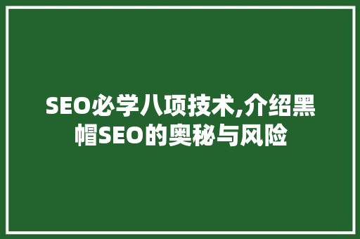 SEO必学八项技术,介绍黑帽SEO的奥秘与风险