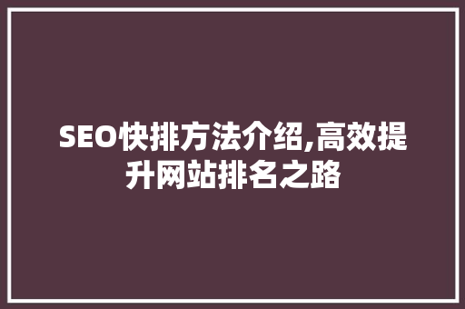 SEO快排方法介绍,高效提升网站排名之路