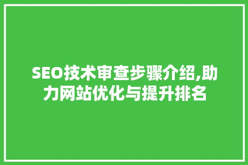 SEO技术审查步骤介绍,助力网站优化与提升排名