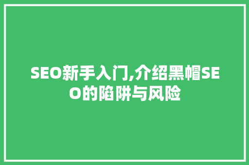 SEO新手入门,介绍黑帽SEO的陷阱与风险