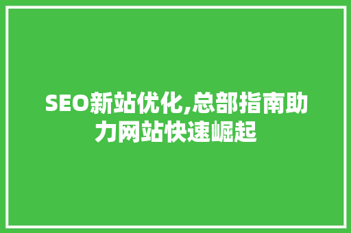 SEO新站优化,总部指南助力网站快速崛起