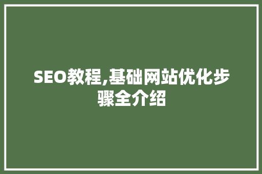 SEO教程,基础网站优化步骤全介绍