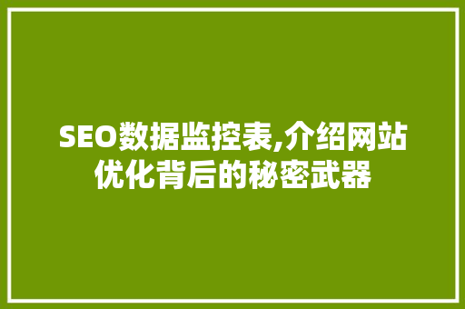 SEO数据监控表,介绍网站优化背后的秘密武器