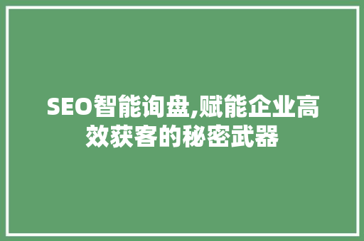SEO智能询盘,赋能企业高效获客的秘密武器