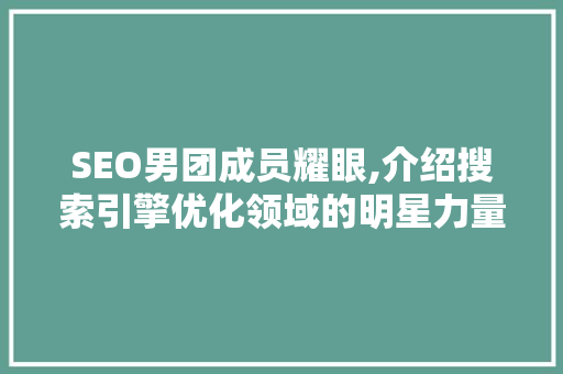 SEO男团成员耀眼,介绍搜索引擎优化领域的明星力量