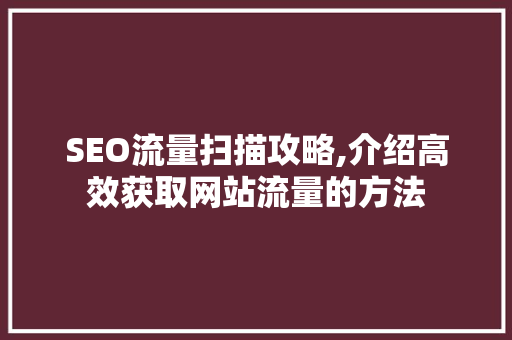 SEO流量扫描攻略,介绍高效获取网站流量的方法