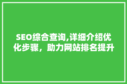 SEO综合查询,详细介绍优化步骤，助力网站排名提升