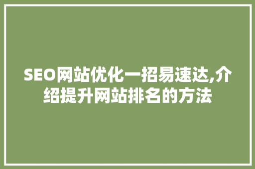 SEO网站优化一招易速达,介绍提升网站排名的方法