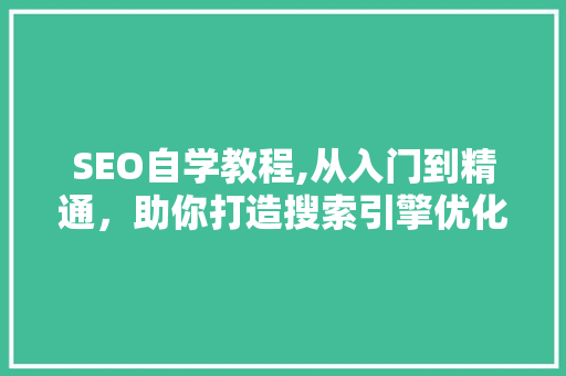 SEO自学教程,从入门到精通，助你打造搜索引擎优化高手