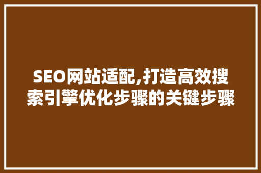 SEO网站适配,打造高效搜索引擎优化步骤的关键步骤